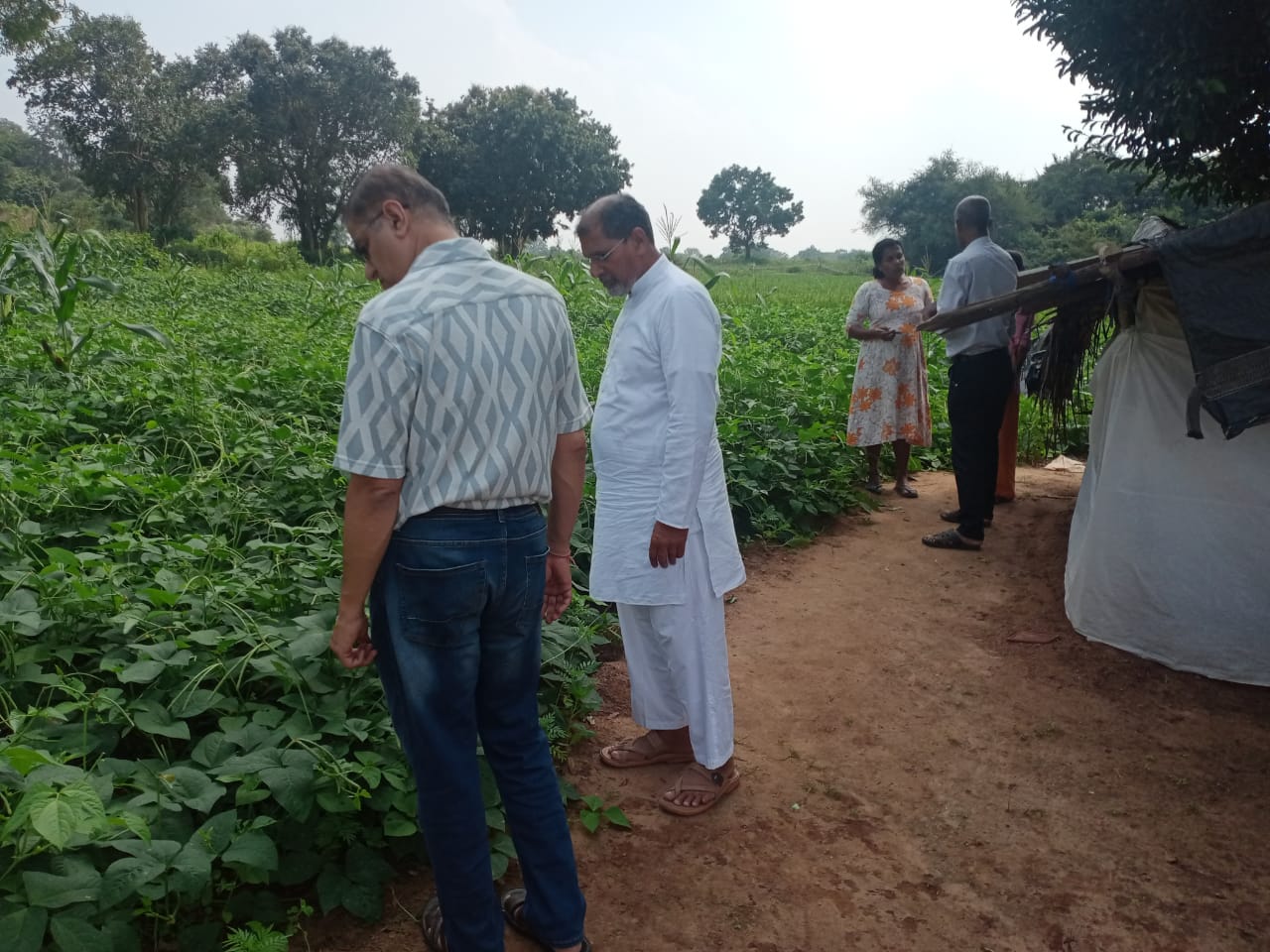 Farming Practical Development